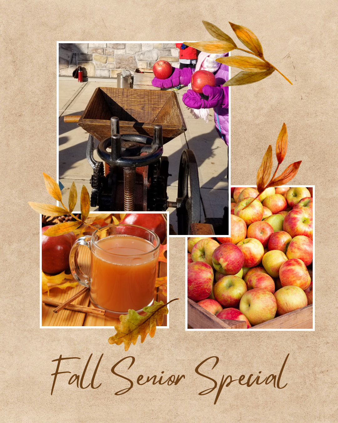 Fall Senior Special