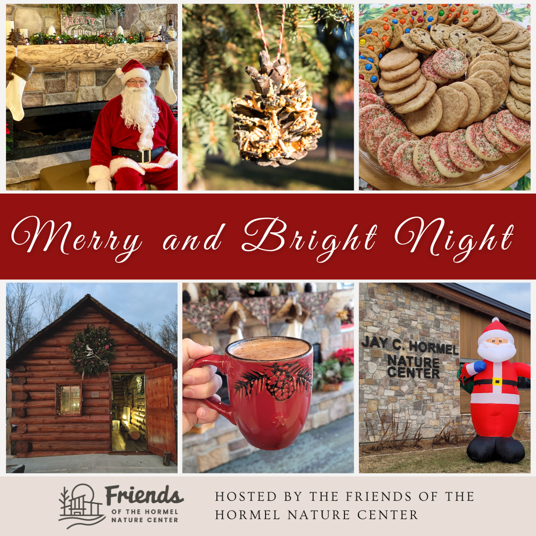 merry and bright night (Instagram Post)