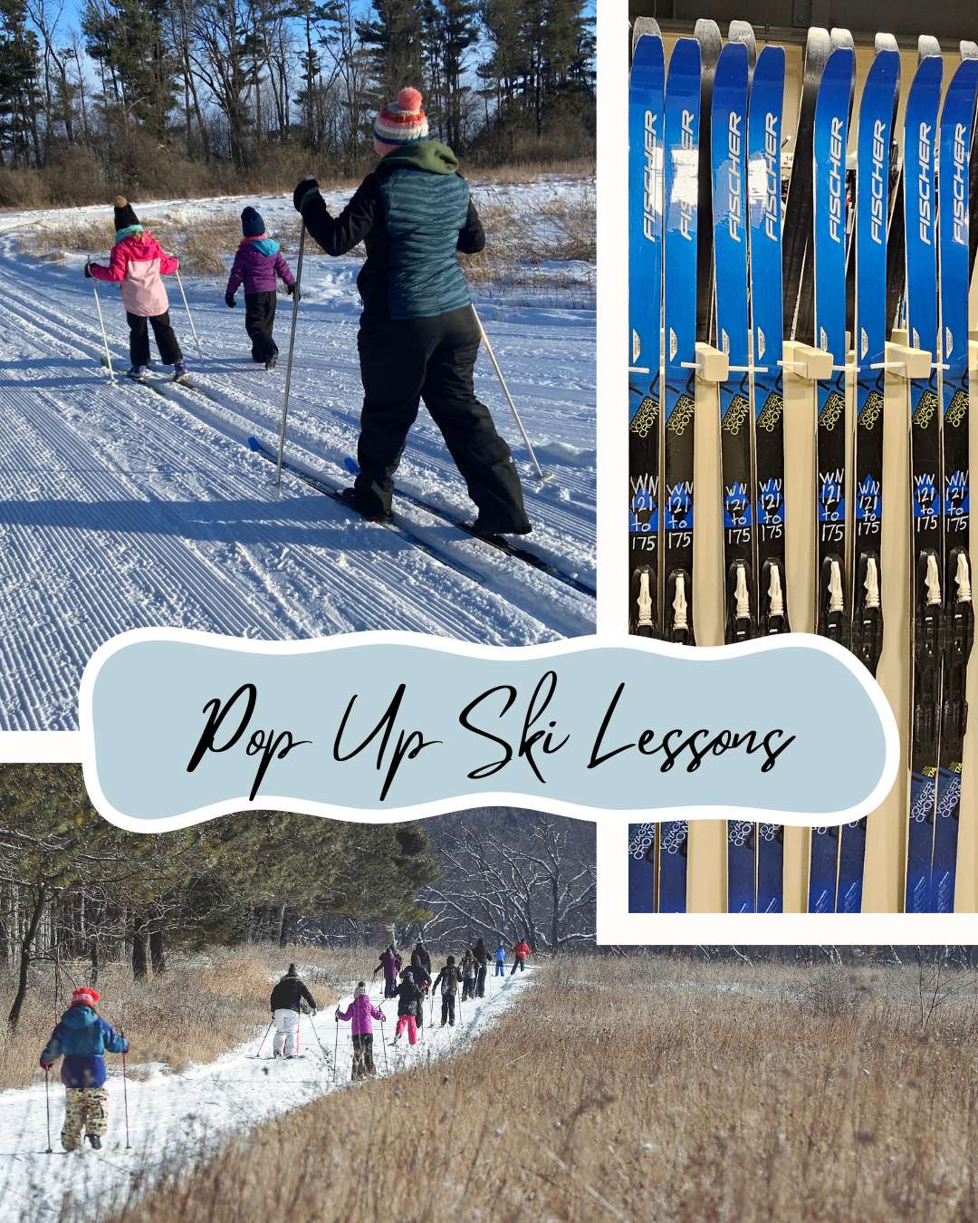 Pop Up Ski Lessons, showing what our cross country skis look like