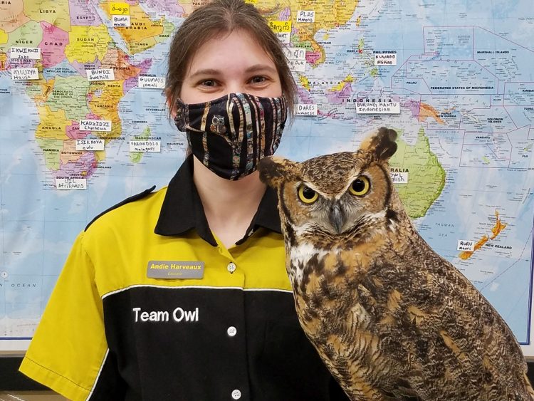 A girl with a mask on her face holding a great horned owl.